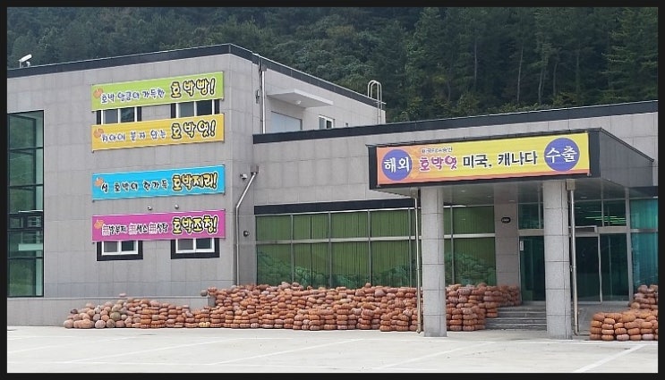 울릉도식품 이미지