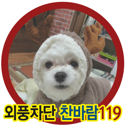개똥이 이미지