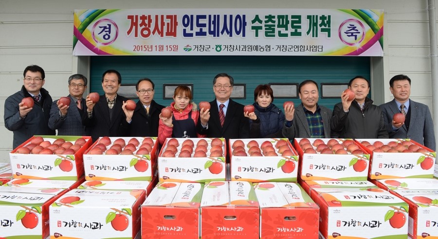거창사과 이미지