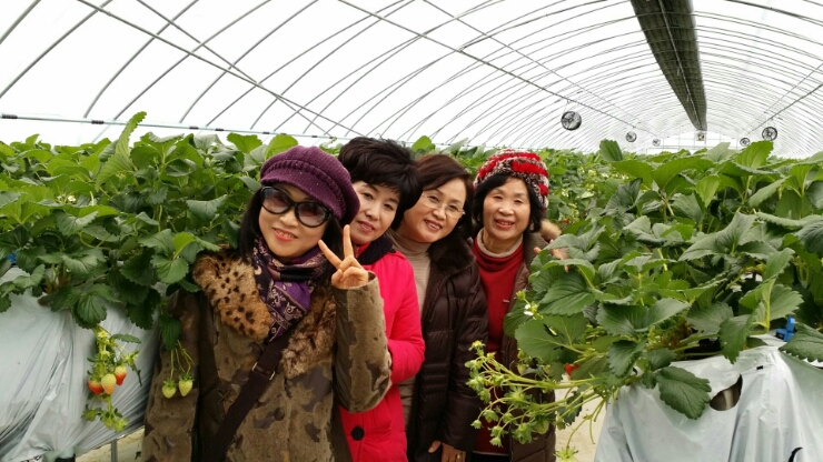 소야농장 이미지