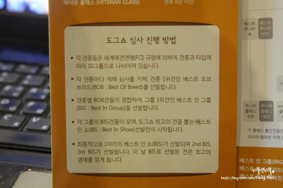코코앤켈리 이미지