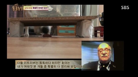 호야농장 이미지