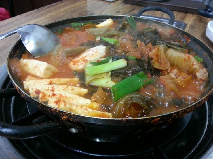 돼지통신 이미지