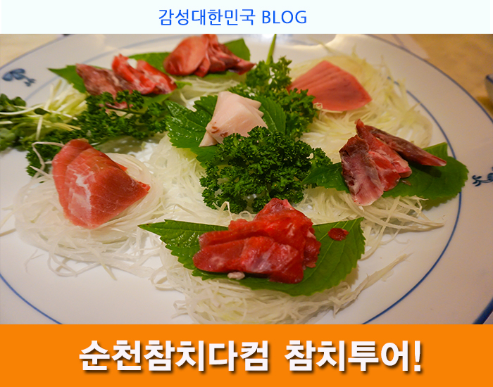 참치다컴 이미지