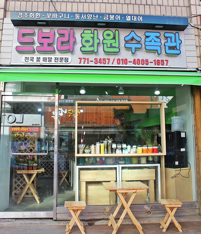 드보라화원 이미지