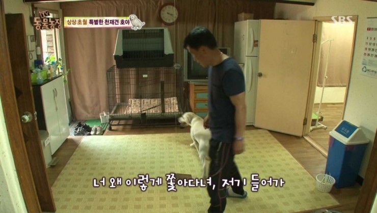 호야농장 이미지