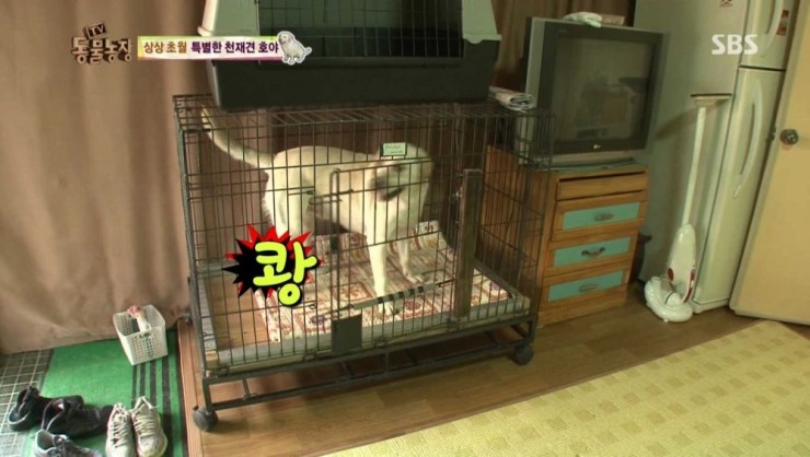 호야농장 이미지