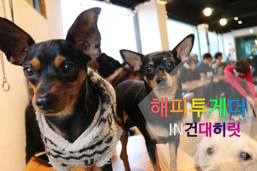히릿카페 이미지
