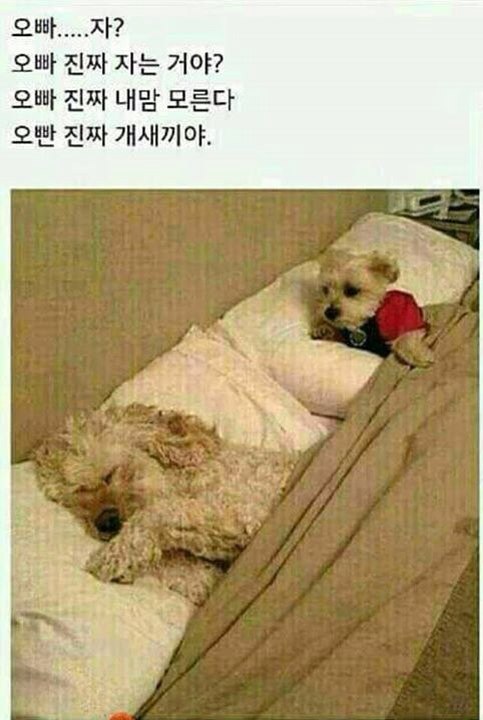 남자는배여자는항구 이미지