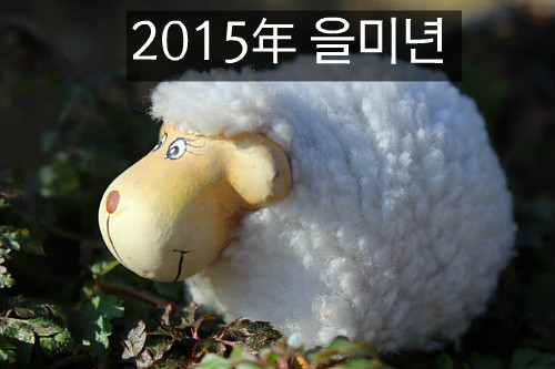 정진자동차 이미지