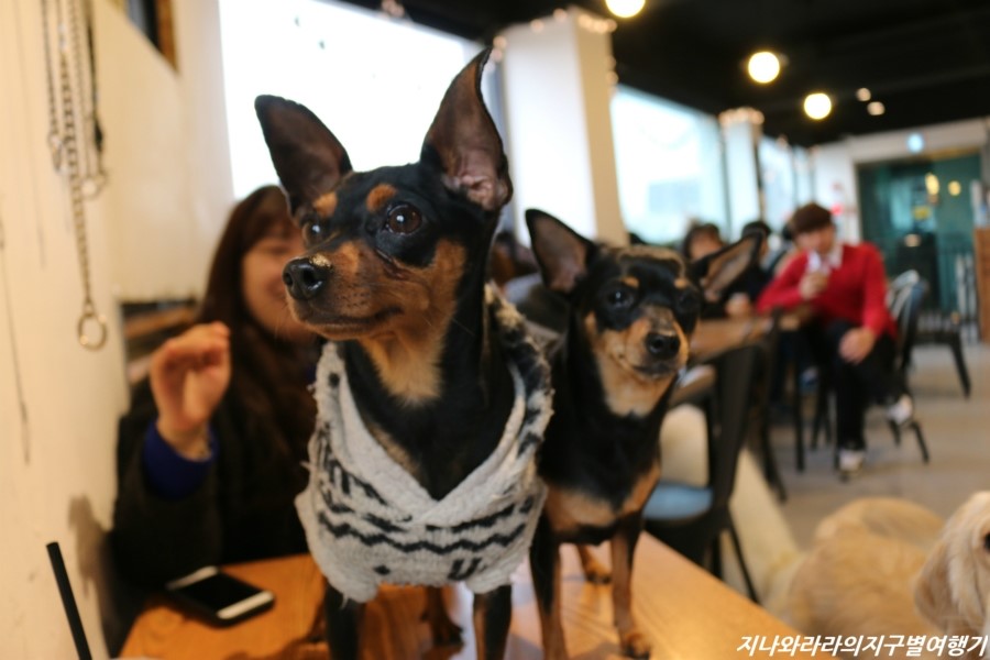 히릿카페 이미지