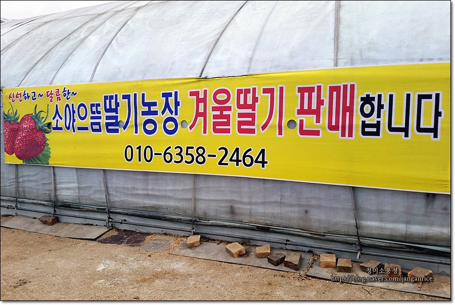 소야농장 이미지