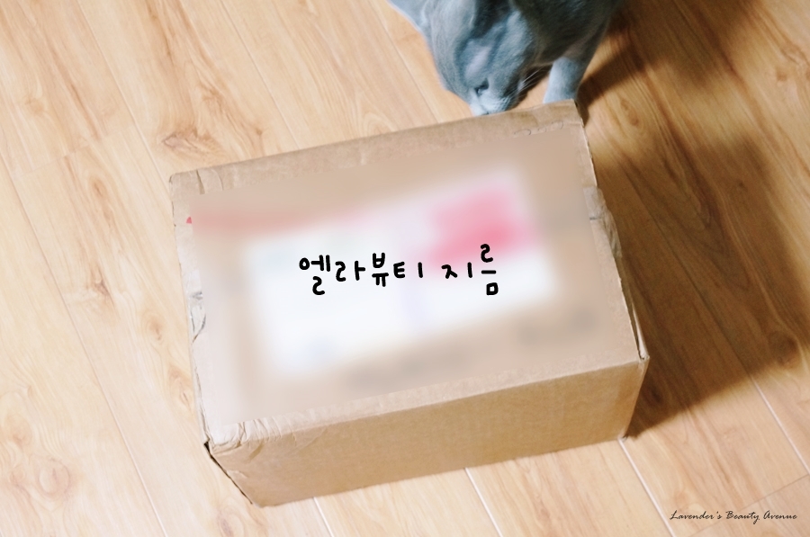 엘라뷰티 이미지