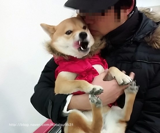 신나라마트 이미지