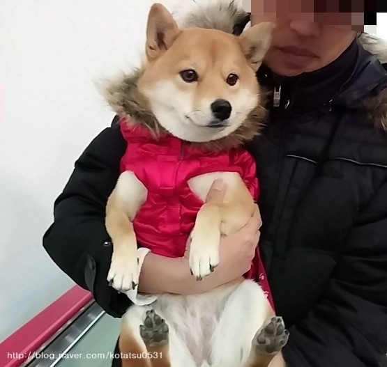 신나라마트 이미지