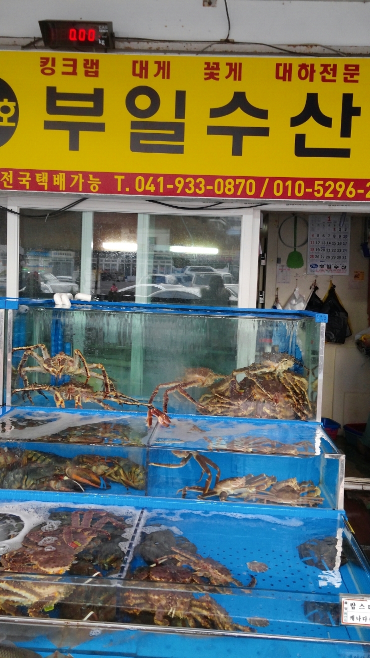 부일수산 이미지