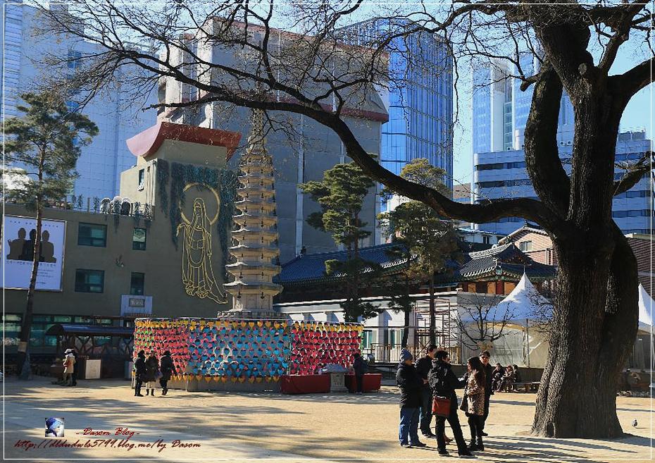 (사)한국대승불교조계종 이미지