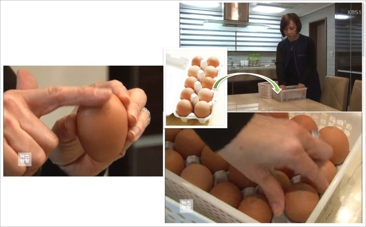 광장유통 이미지