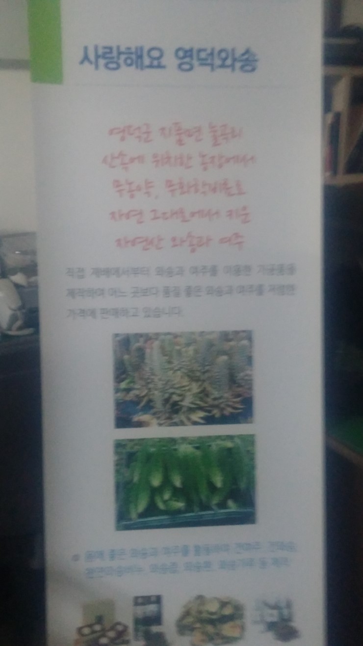 사랑해요영덕와송 이미지