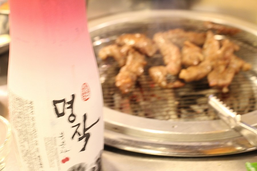 나노갈매기 이미지