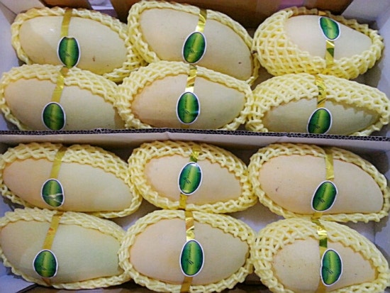 유림청과 이미지