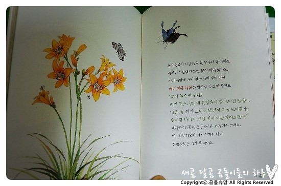 일등노래마을 이미지