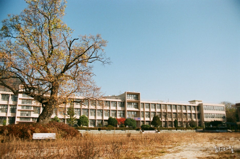 춘천여자고등학교 이미지