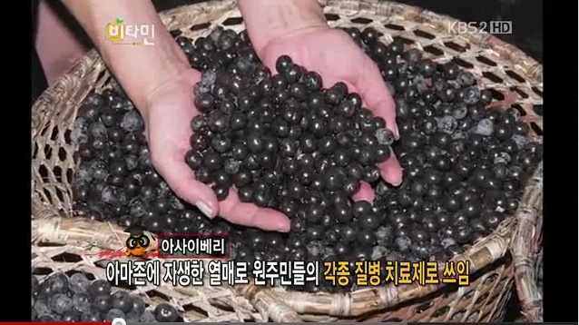 콩이랑 베리랑 이미지