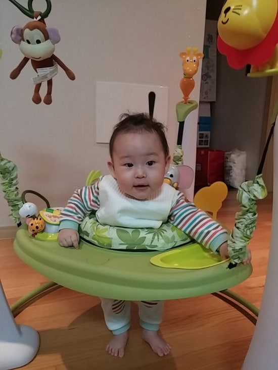 코지니 이미지