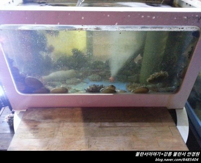 옛소라횟집 이미지