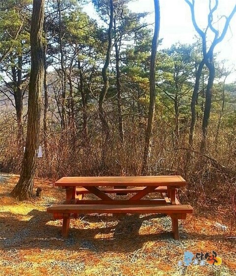 자연건강수련원 이미지