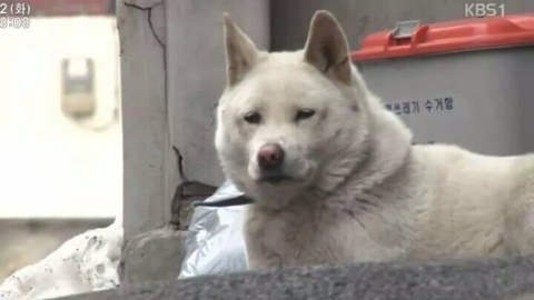 없음 이미지