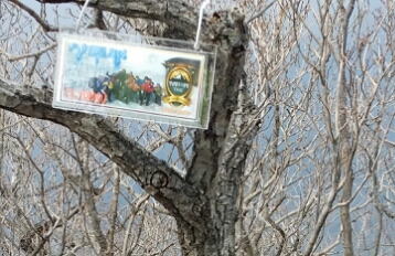 정상 이정표 이미지