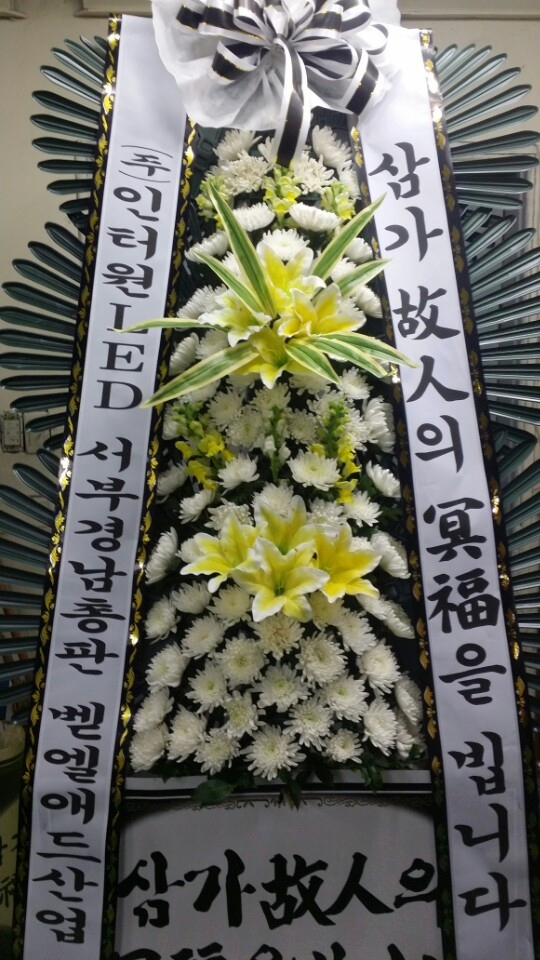 새롬애드 이미지