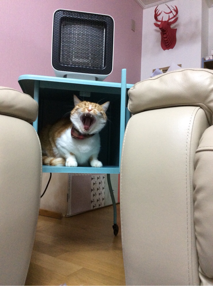 한고 이미지