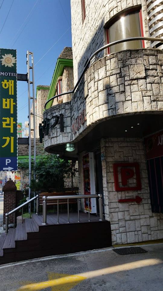 해바라기모텔 이미지