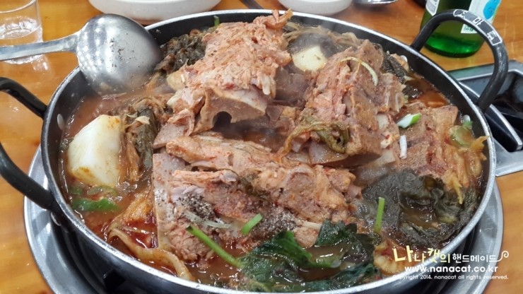 조마루뼈다귀 이미지