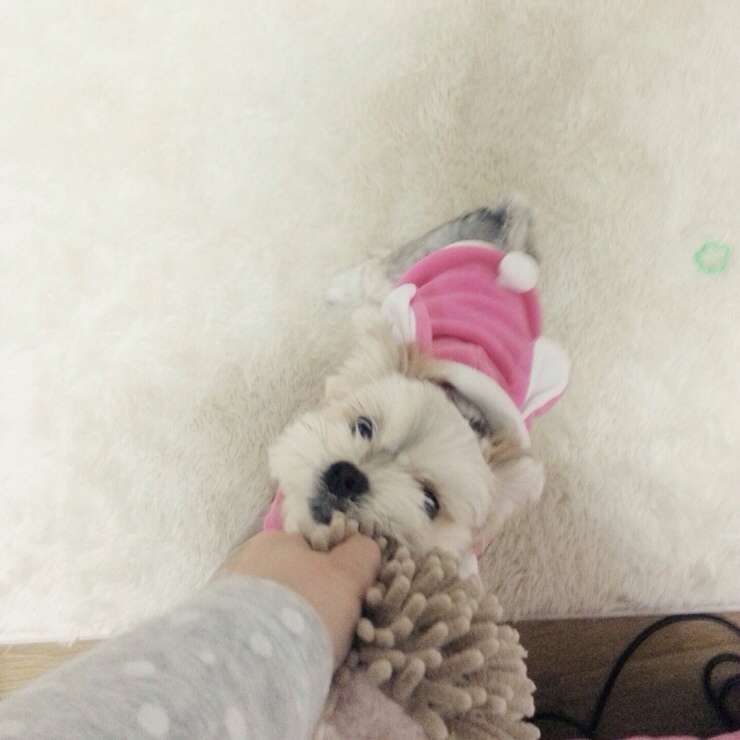우돈오리 이미지