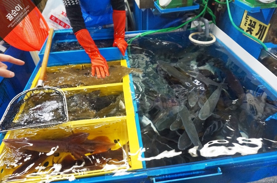 덕화상회 이미지