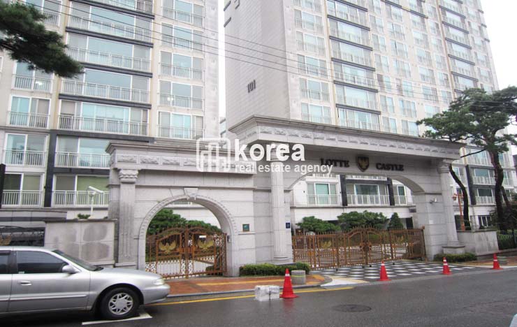 보그너강남상설 이미지