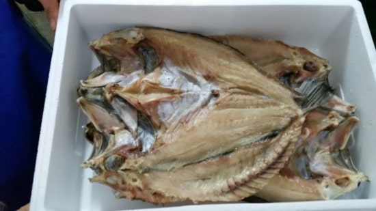 하은수산 이미지