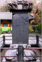 고운;유 이미지