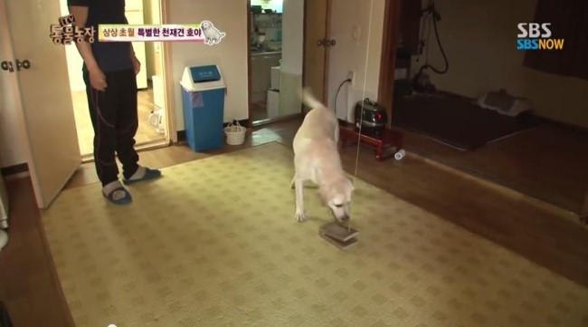 호야농장 이미지