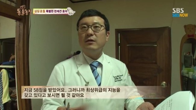 호야농장 이미지