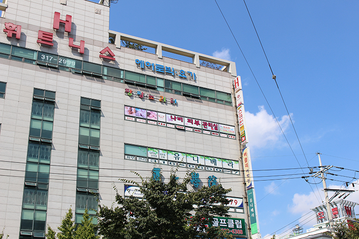 나비에스테틱 이미지