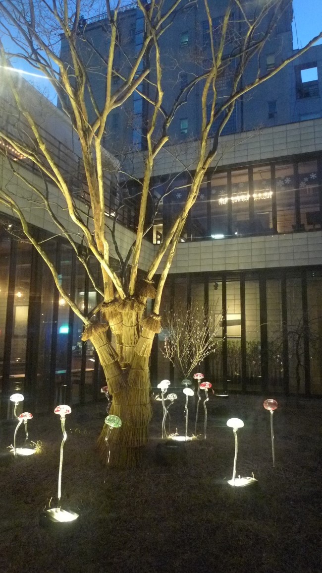 무이커피 이미지