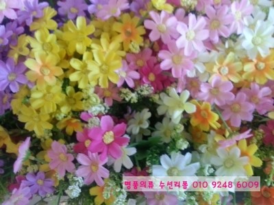 고운리폼수선 이미지