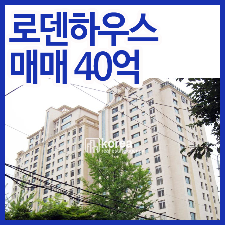 보그너강남상설 이미지