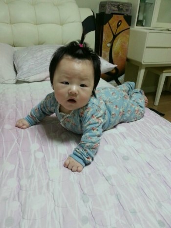 윤희플라워 이미지