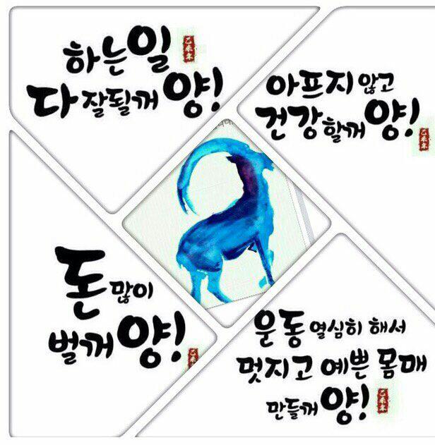 강원도흑염소 이미지